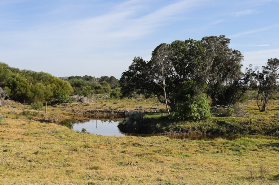 0 Bedroom Property for Sale in Kromme River Estate Eastern Cape